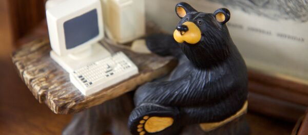Russian hacker bear Russian hacker bear - Sputnik Afrique