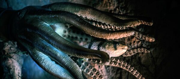 Un monstre / image d'illustration - Sputnik Afrique