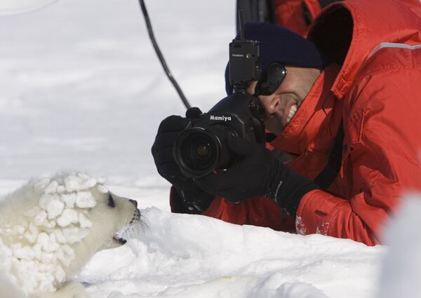 Photographe de mode et juge du Next Top Model d'Amérique, Nigel Barker photographie un phoque du Groenland - Sputnik Afrique