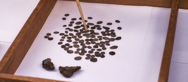 Pièces de monnaie anciennes (image d'illustration) - Sputnik Afrique