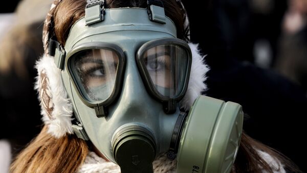 A woman wearing a gas mask participates in a protest against air pollution in Skopje, Macedonia, on Saturday, Dec. 21, 2013. - Sputnik Afrique