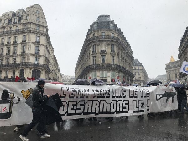 Les manifestants brandissent des pancartes «Désarmons-le» - Sputnik Afrique
