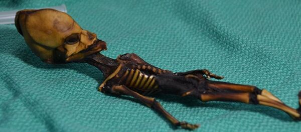 extraterrestre humanoïde - Sputnik Afrique