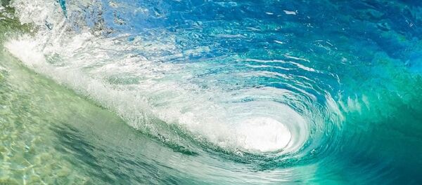 Océan - Sputnik Afrique