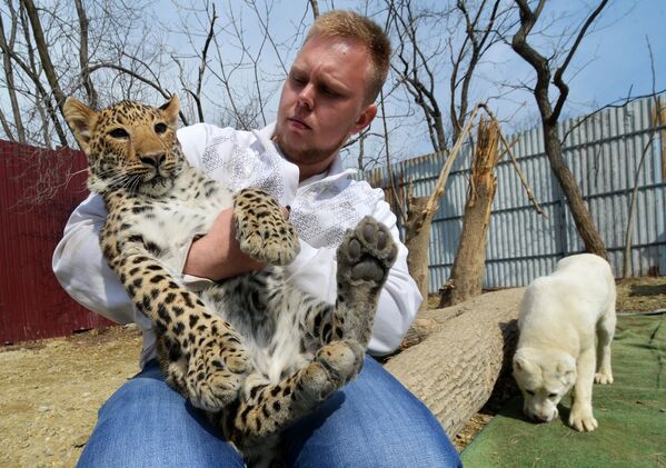 Un berger d’Asie centrale adopte un bébé léopard - Sputnik Afrique