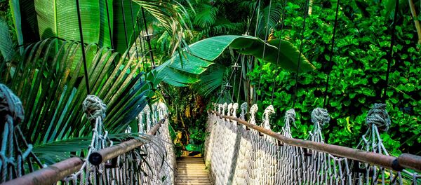 Amazonia (imagen referencial) - Sputnik Afrique