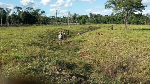Pozostałości osad znalezione przez archeologów w „bezludnych” lasach Amazonii - Sputnik Afrique