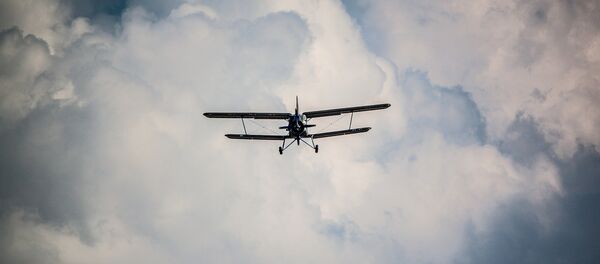 Un petit avion. Image d'illustration - Sputnik Afrique