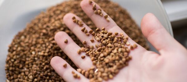 Gruau de sarrasin - Sputnik Afrique