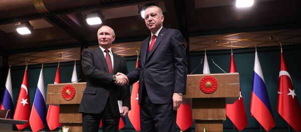 Визит президента РФ В. Путина в Турцию - Sputnik Afrique