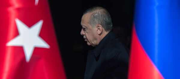 Визит президента РФ В. Путина в Турцию - Sputnik Afrique