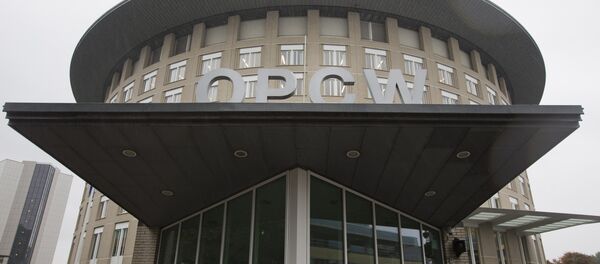 A security guard stands at the entrance at the headquarters of the world's chemical watchdog OPCW, in The Hague, Netherlands, Friday Oct. 11, 2013 - Sputnik Afrique