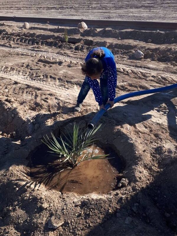 L’agriculture se relève dans la province de Deir ez-Zor - Sputnik Afrique