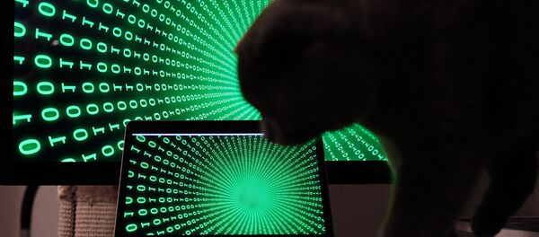 Un chat devant un ordinateur - Sputnik Afrique