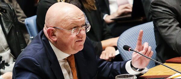 Vassili Nebenzia - Sputnik Afrique