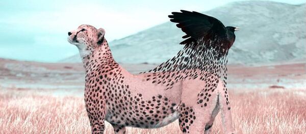 Œuvres de Julien Tabet - Sputnik Afrique