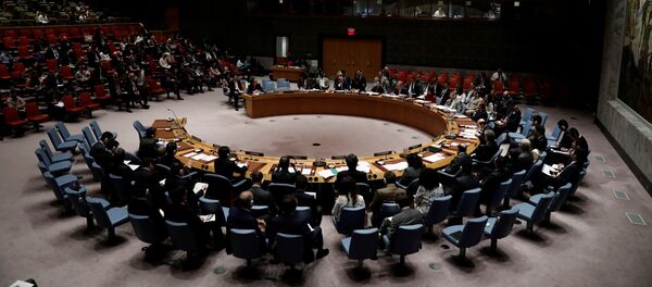 Conseil de sécurité de l'Onu - Sputnik Afrique