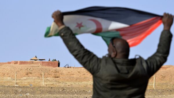 A Saharawi man holds up a Polisario Front flag in the Al-Mahbes area near Moroccan soldiers guarding the wall separating the Polisario controlled Western Sahara from Morocco on February 3, 2017. - Sputnik Afrique