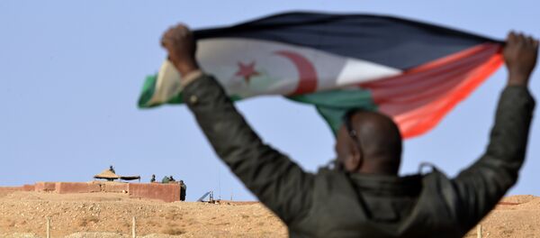 A Saharawi man holds up a Polisario Front flag in the Al-Mahbes area near Moroccan soldiers guarding the wall separating the Polisario controlled Western Sahara from Morocco on February 3, 2017. - Sputnik Afrique