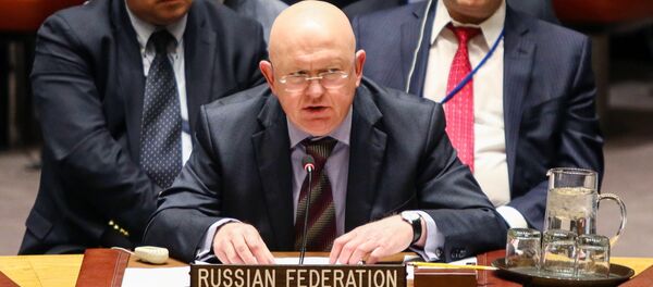 Vassili Nebenzia - Sputnik Afrique