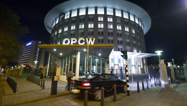 Le siège de l'OIAC à La Haye - Sputnik Afrique
