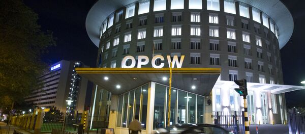 Le siège de l'OIAC à La Haye - Sputnik Afrique