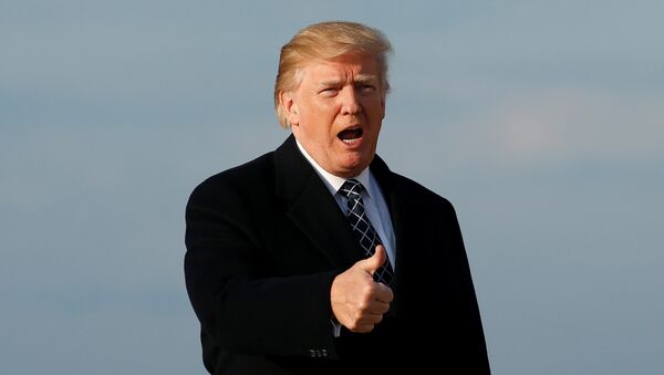 U.S. President Donald Trump gives thumbs-up as he returns from Palm Beach, Florida, at Joint Base Andrews in Maryland, U.S., March 25, 2018 - Sputnik Afrique