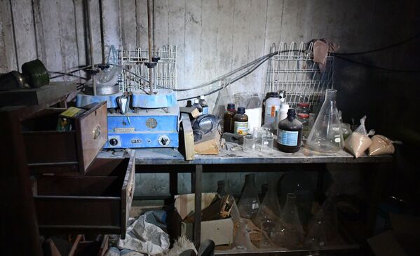 Laboratoire chimique des radicaux à Douma - Sputnik Afrique