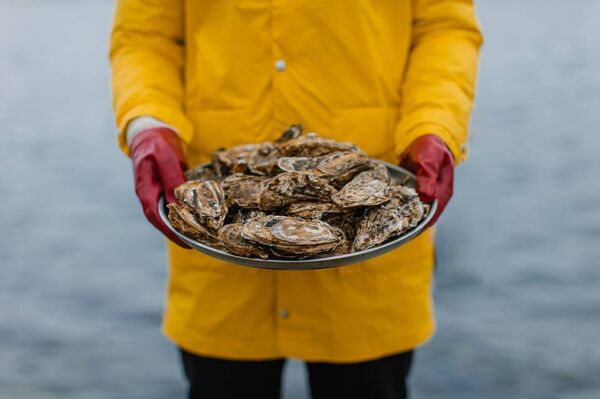 Huîtres de la mer Noire - Sputnik Afrique