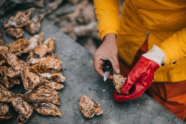 Huître de Crimée - Sputnik Afrique