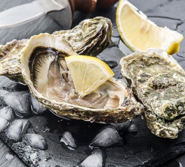 Claire de Crimée - Sputnik Afrique