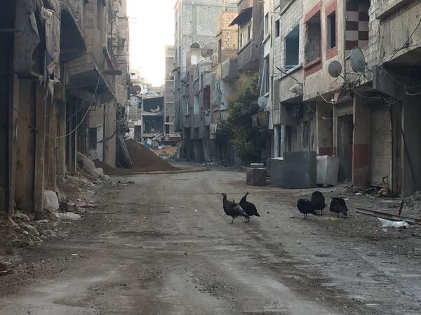 Escalade de la tension au sud de Damas - Sputnik Afrique