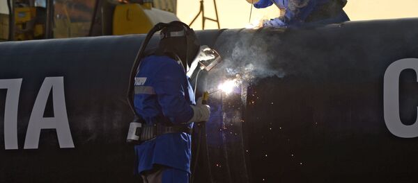 Рабочая поездка В.Путина в Дальневосточный федеральный округ - Sputnik Afrique