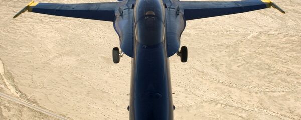 Un McDonnell Douglas F/A-18 Hornet - Sputnik Afrique