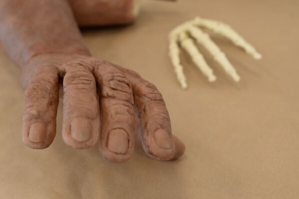 Reconstitution sculptée d'une main d'Homo naledi (auteur – Anatoli Alexandrov) et moulage des os d'un poignet d'Homo naledi obtenu par impression 3D - Sputnik Afrique