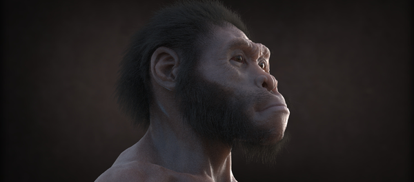 Extrait du film d'animation Homo naledi: Rencontre entre deux mondes - Sputnik Afrique