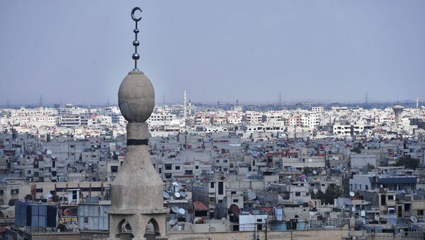 banlieue de Damas, image dillustration - Sputnik Afrique