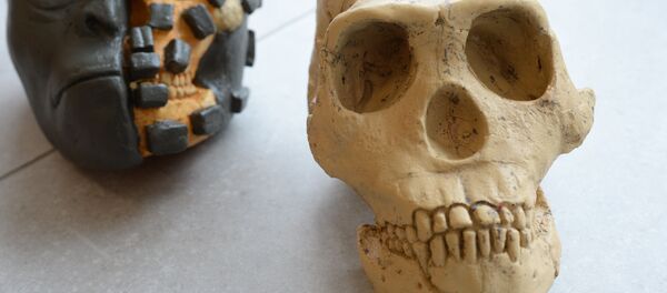 Démonstration de la méthode de reconstitution d'un crâne Démonstration de la méthode de reconstitution d'un crâne - Sputnik Afrique