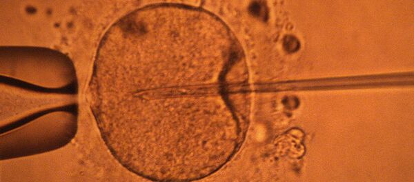 Стволовые клетки - Sputnik Afrique