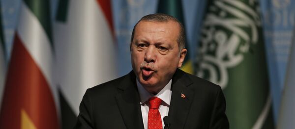 Recep Tayyip Erdogan - Sputnik Afrique