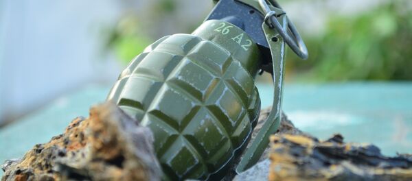Une grenade - Sputnik Afrique
