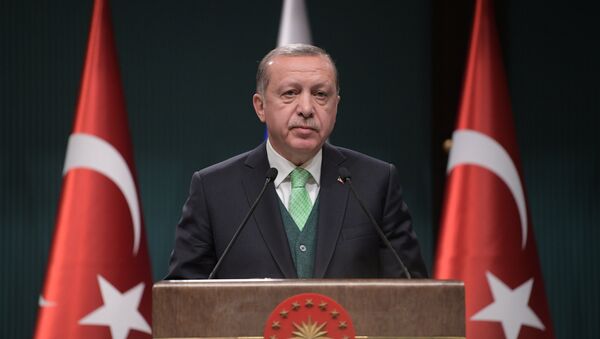 El presidente turco Recep Tayyip Erdogan (archivo) - Sputnik Afrique
