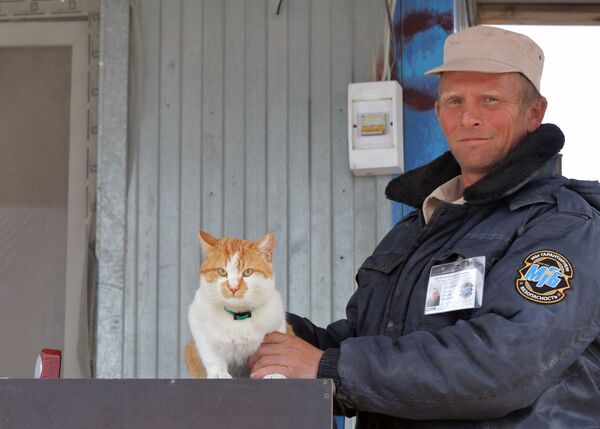 Le chat Mostik - Sputnik Afrique