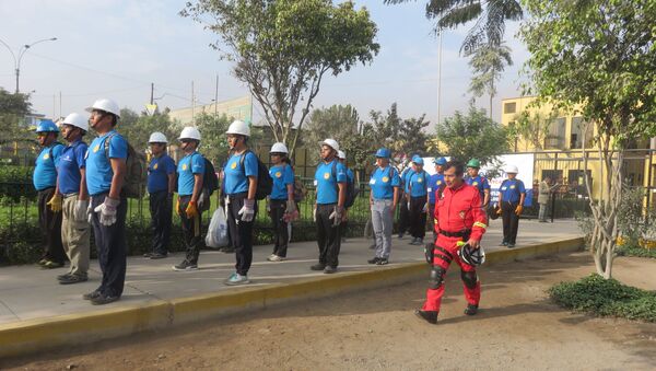 Pérou: une équipe de pompiers volontaires sera créée en reconnaissance à l’URSS - Sputnik Afrique
