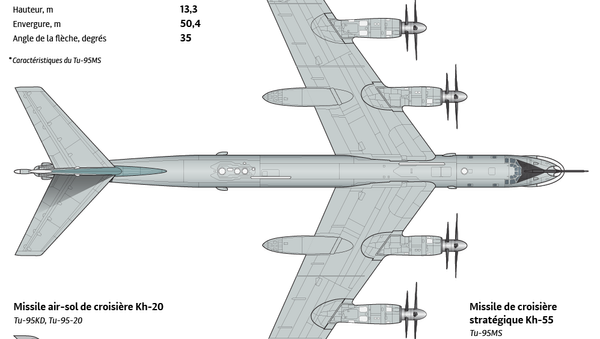 Bombardier stratégique Tu-95 - Sputnik Afrique