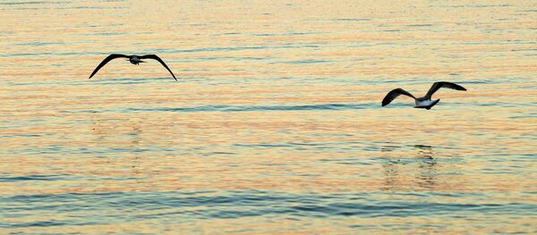 Eupatoria - Sputnik Afrique