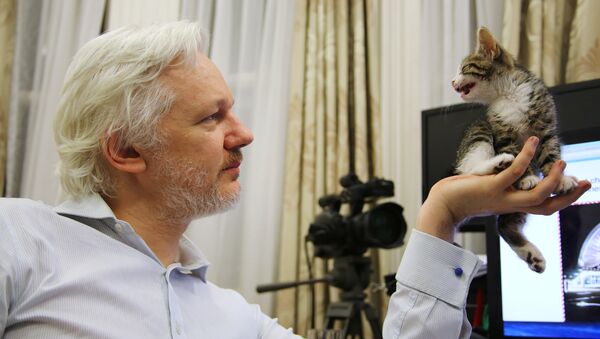 Julian Assange - Sputnik Afrique