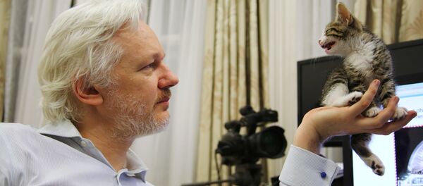 Julian Assange - Sputnik Afrique
