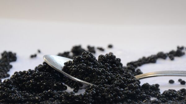 caviar noir - Sputnik Afrique