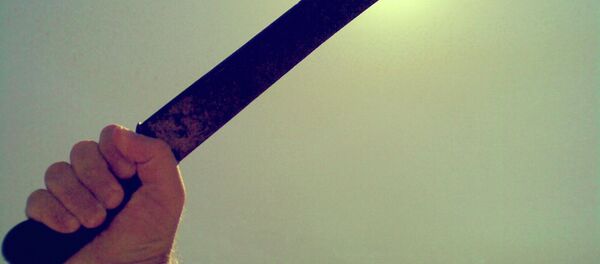 Une machette (image d'illustration) - Sputnik Afrique